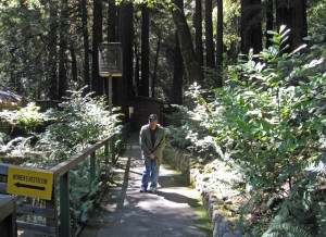 Path to bathrooms