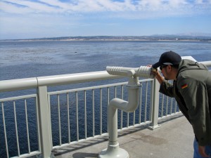Viewing the bay from Monterey Aquarium
