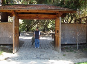Back gate