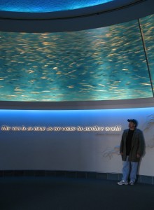 Sardine exhibit at Monterey Bay Aquarium
