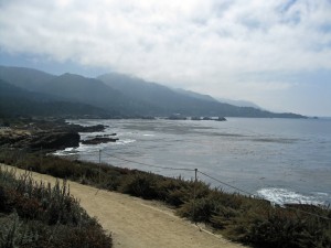 Scenic picture of coast along Point Lobos
