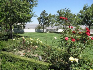 Garden in Simi Valley