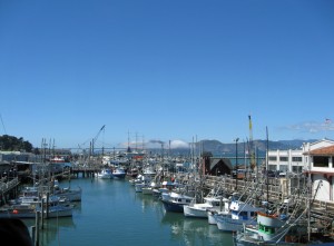 Marina