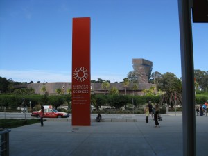 California Academy of Sciences