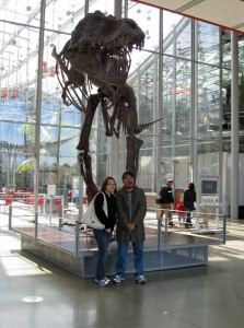 T-Rex skeleton