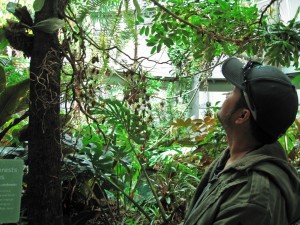 Rain forest exhibit