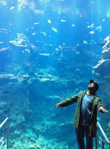 Large fish tank