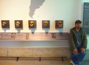 Fossil skulls