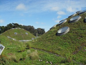 Living roof exhibit