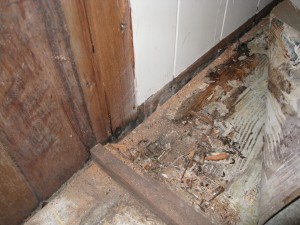 Bathroom - Day Two (C)