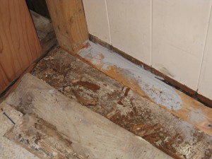 Bathroom - Day Three (C)