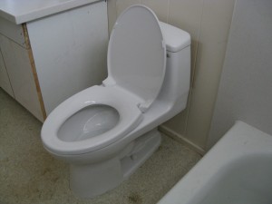 Bathroom - Day Eight (C)