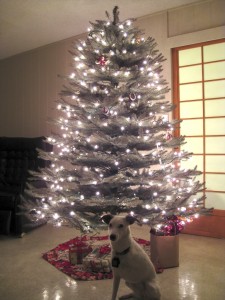 Christmas Tree 2008