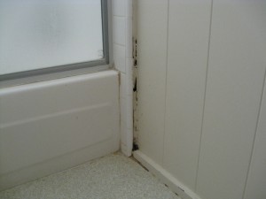 Wall Damage - Bath